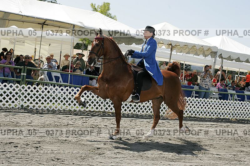 Proof Number upha_05__0373