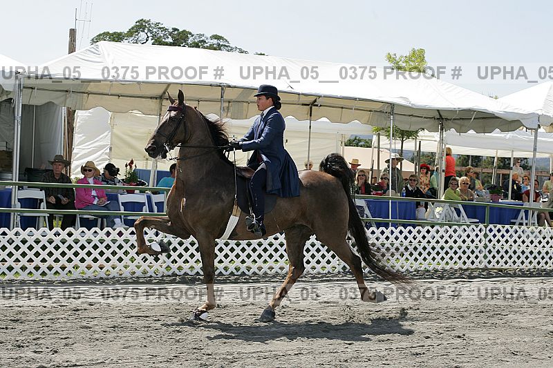 Proof Number upha_05__0375