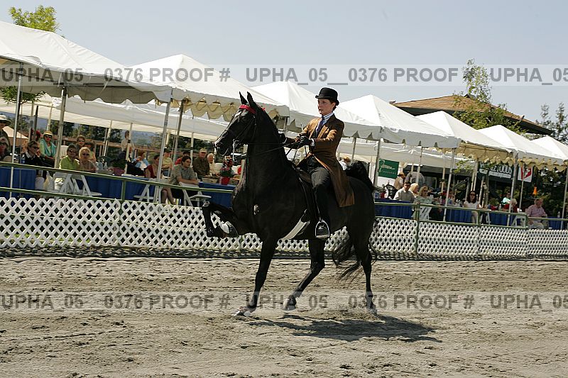 Proof Number upha_05__0376