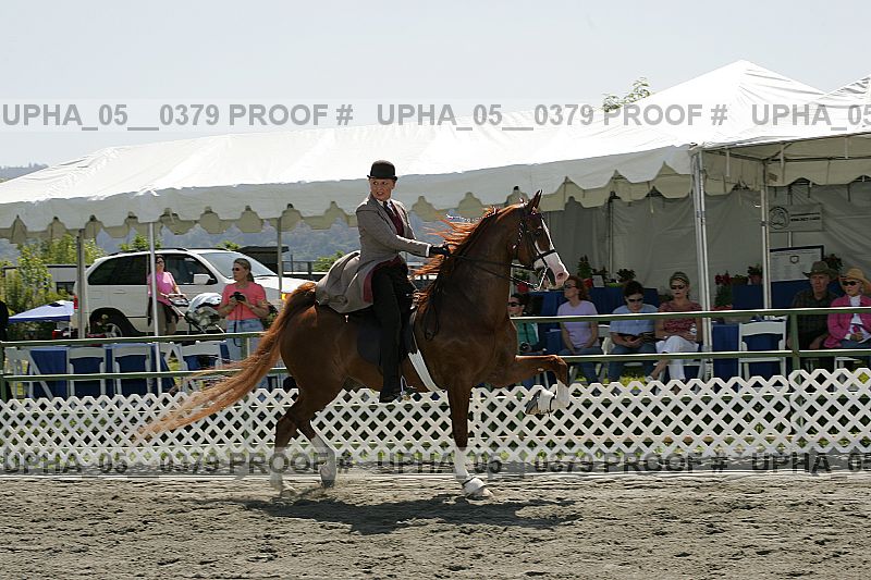 Proof Number upha_05__0379