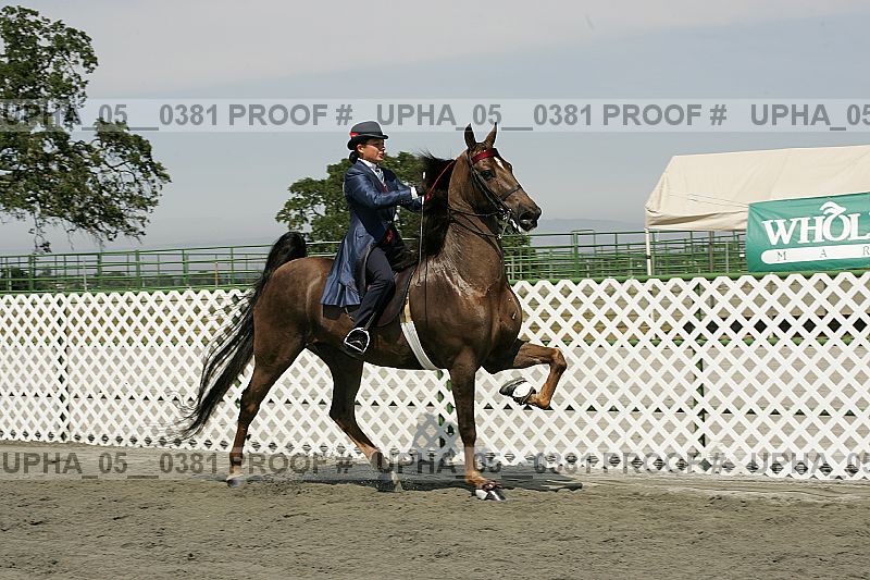 Proof Number upha_05__0381