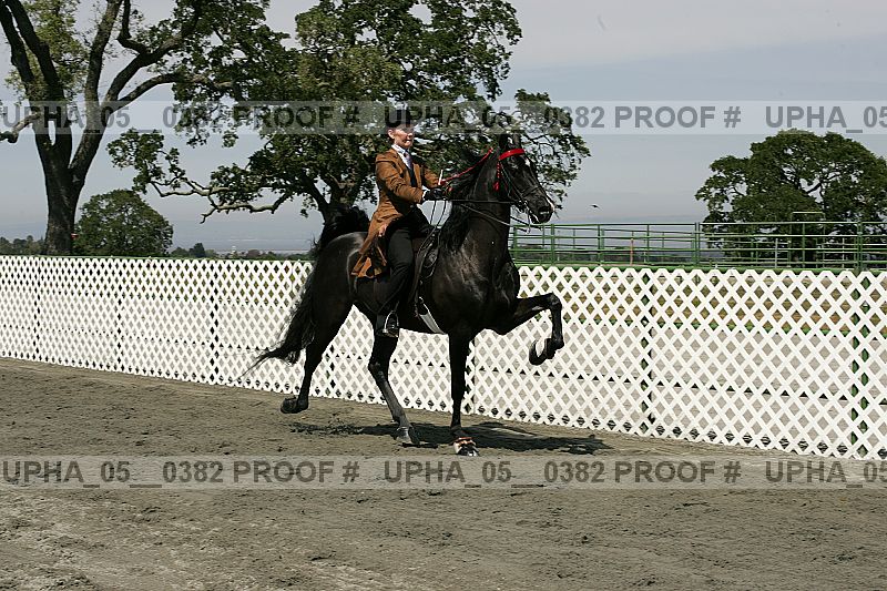 Proof Number upha_05__0382