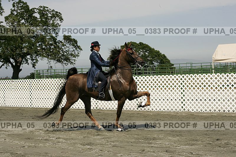 Proof Number upha_05__0383