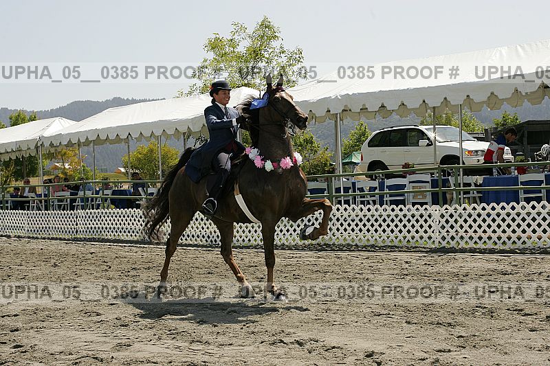 Proof Number upha_05__0385