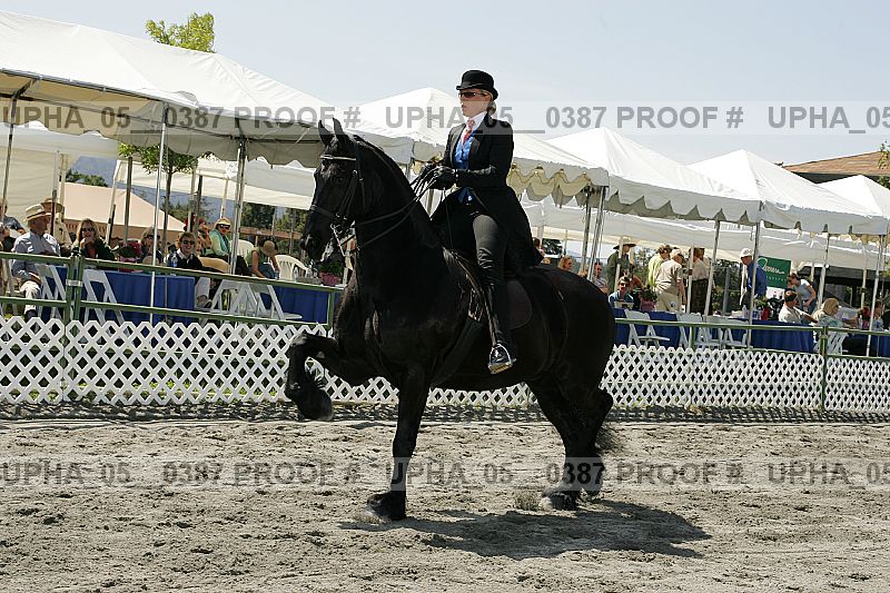 Proof Number upha_05__0387