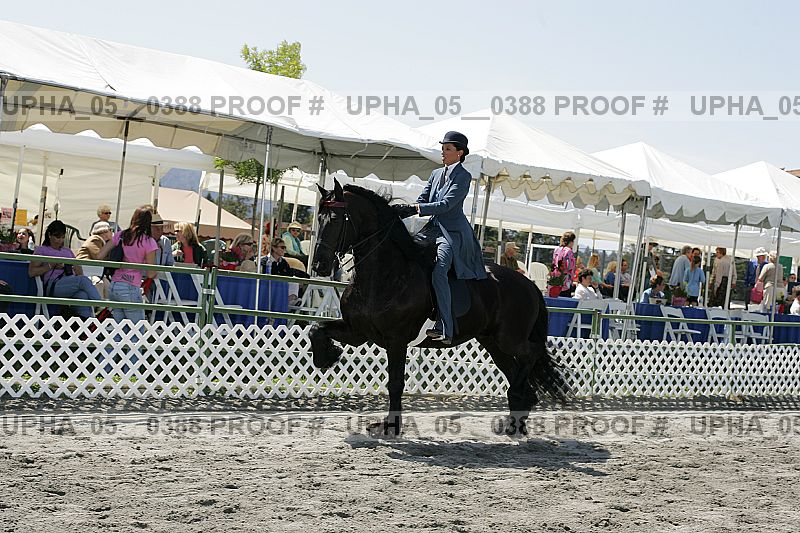 Proof Number upha_05__0388