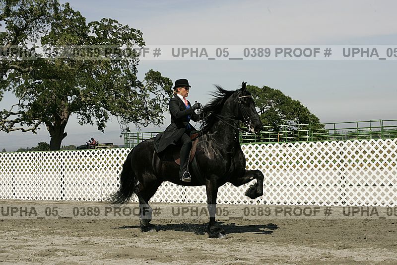 Proof Number upha_05__0389