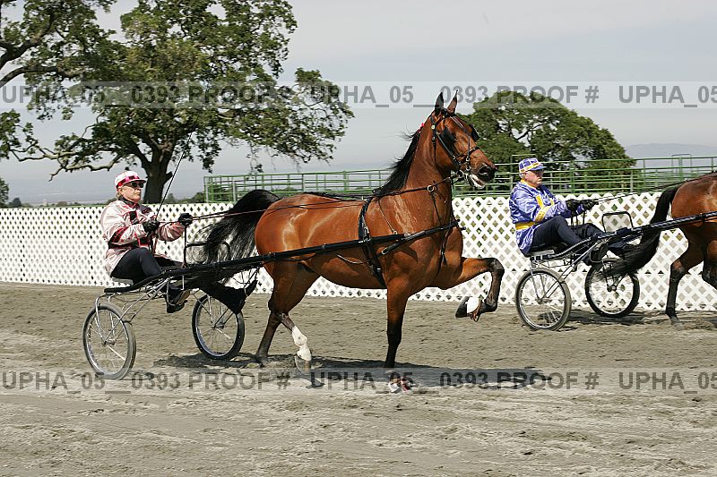 Proof Number upha_05__0393