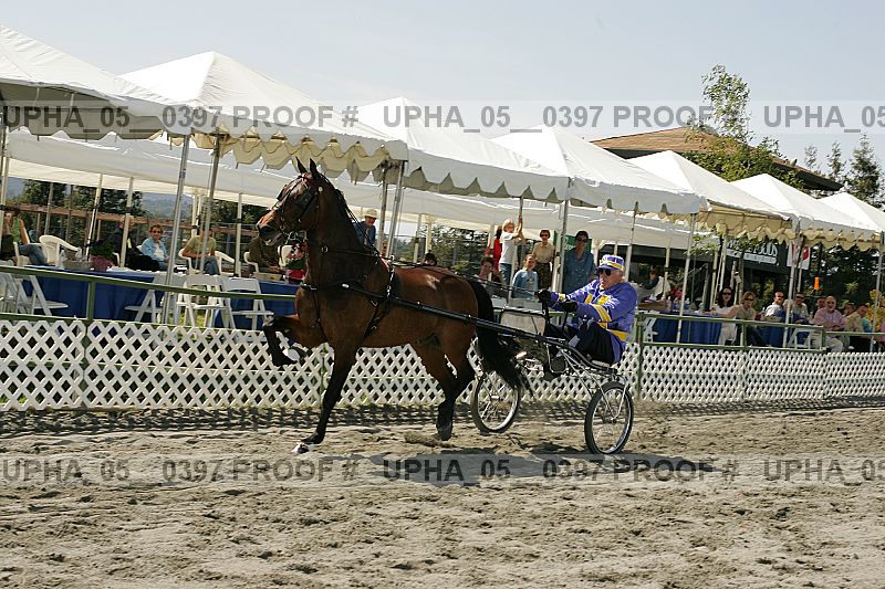 Proof Number upha_05__0397