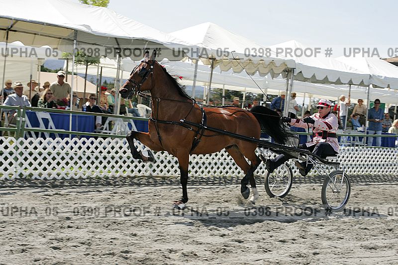 Proof Number upha_05__0398