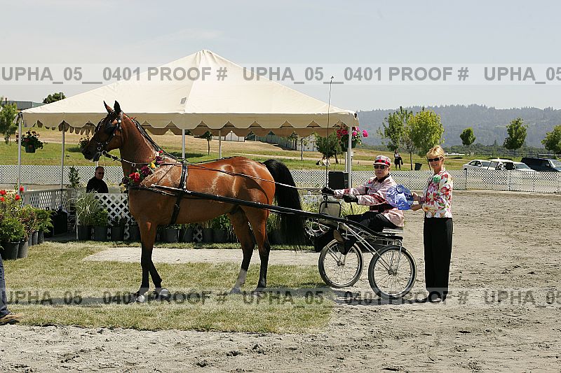 Proof Number upha_05__0401