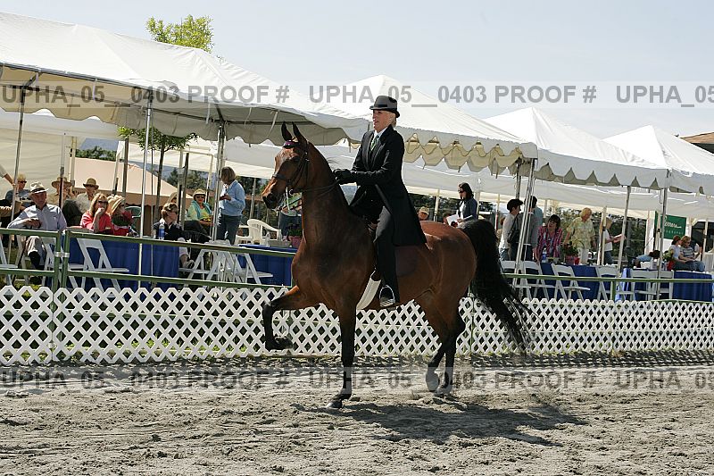 Proof Number upha_05__0403