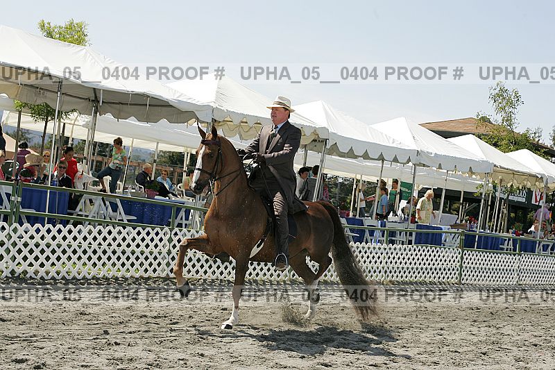 Proof Number upha_05__0404