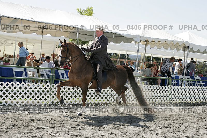 Proof Number upha_05__0406