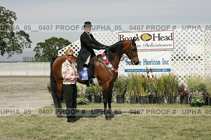 Proof Number upha_05__0407