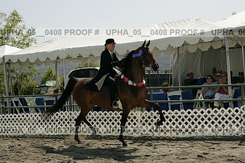 Proof Number upha_05__0408