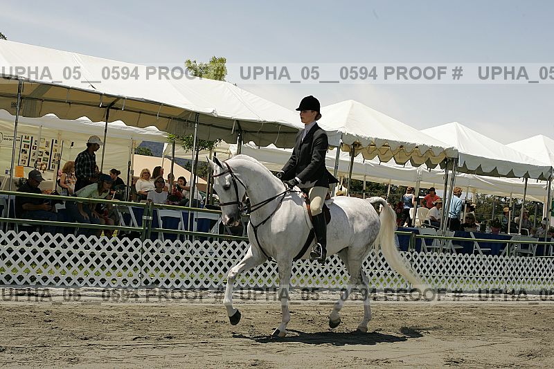 Proof Number upha_05__0594