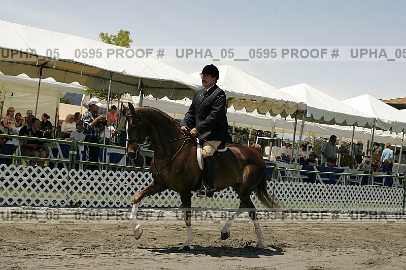 Proof Number upha_05__0595