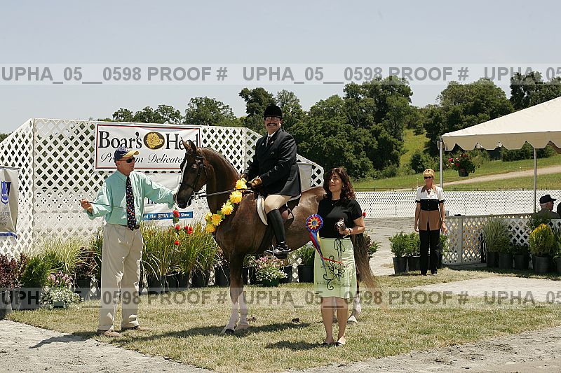 Proof Number upha_05__0598