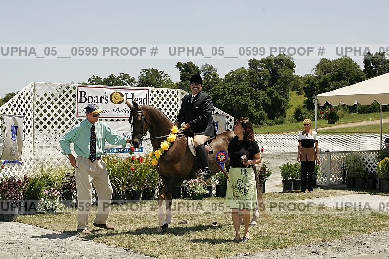 Proof Number upha_05__0599