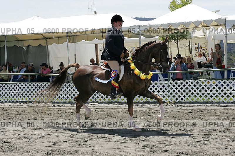 Proof Number upha_05__0600