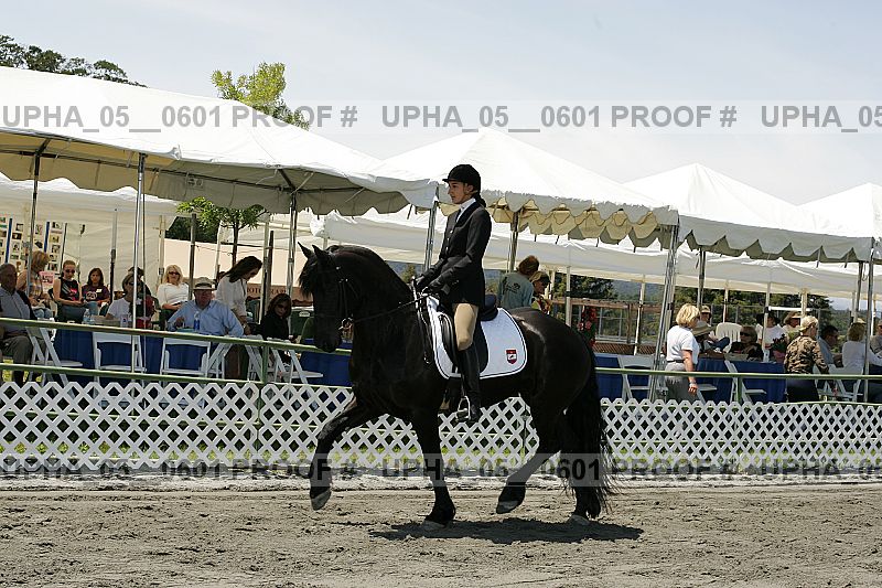 Proof Number upha_05__0601