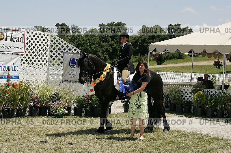 Proof Number upha_05__0602