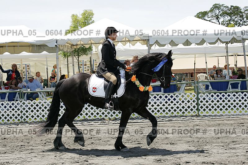 Proof Number upha_05__0604