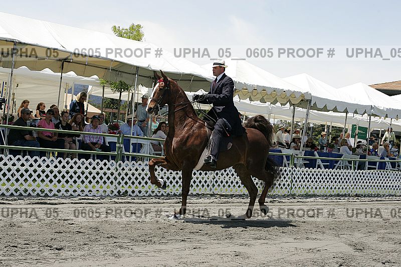 Proof Number upha_05__0605