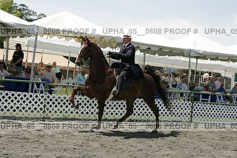 Proof Number upha_05__0608
