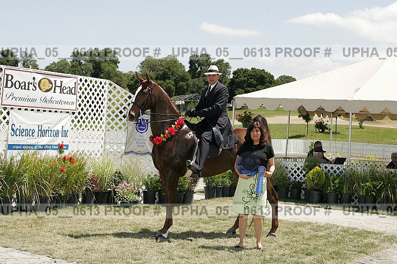 Proof Number upha_05__0613