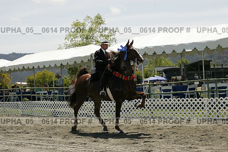 Proof Number upha_05__0614