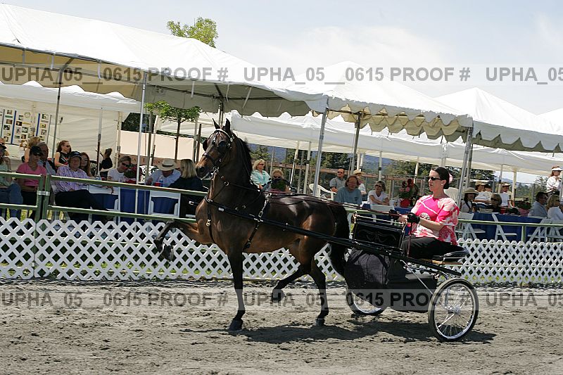 Proof Number upha_05__0615