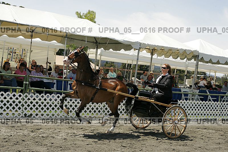 Proof Number upha_05__0616