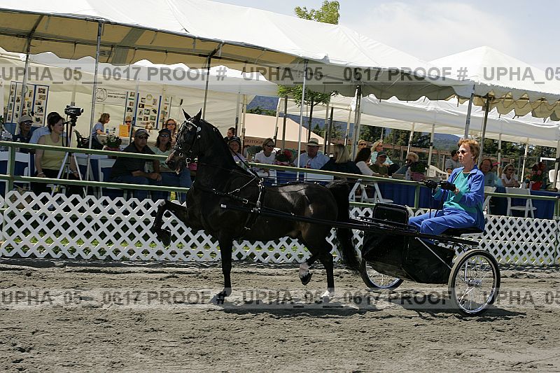 Proof Number upha_05__0617