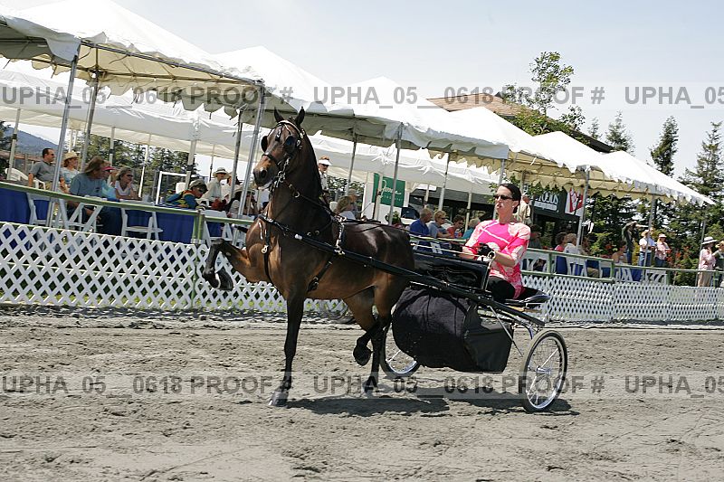 Proof Number upha_05__0618