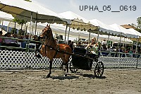 Proof Number upha_05__0619