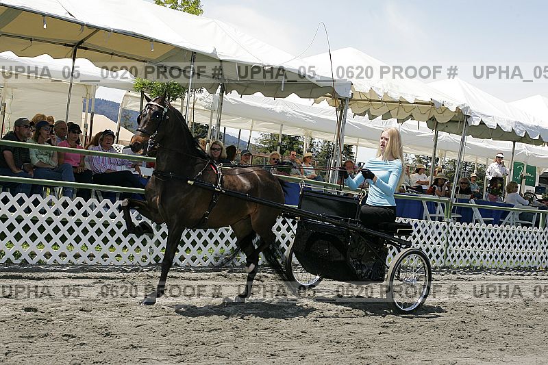 Proof Number upha_05__0620