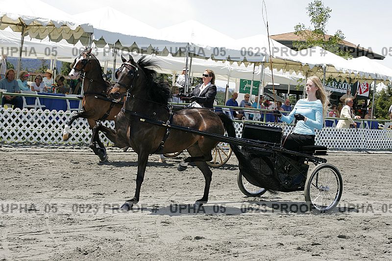 Proof Number upha_05__0623