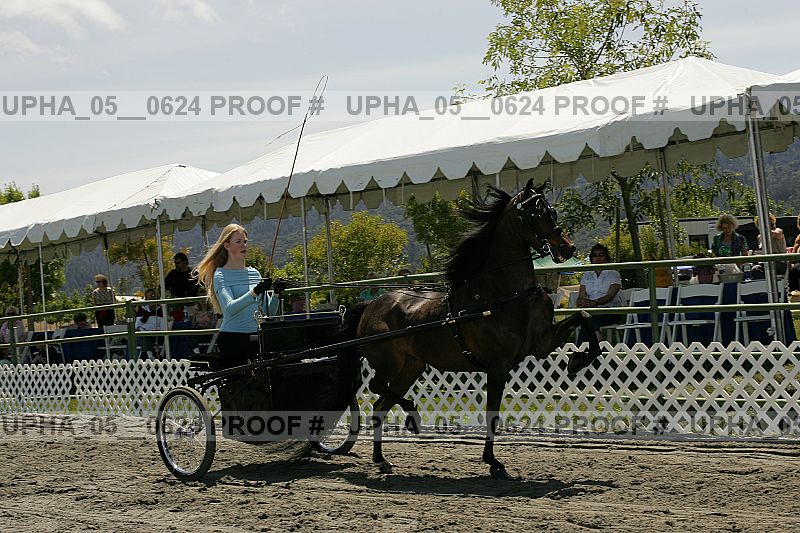 Proof Number upha_05__0624
