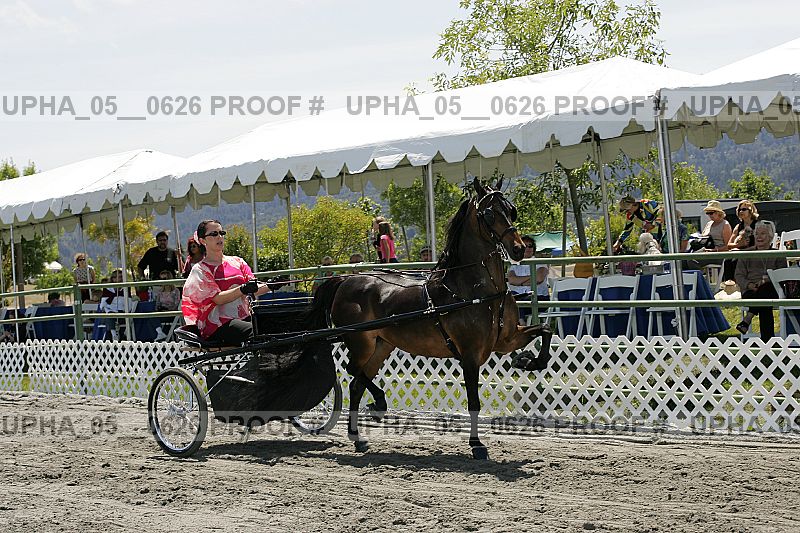 Proof Number upha_05__0626