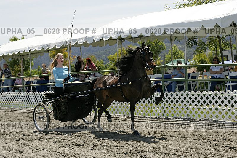 Proof Number upha_05__0628