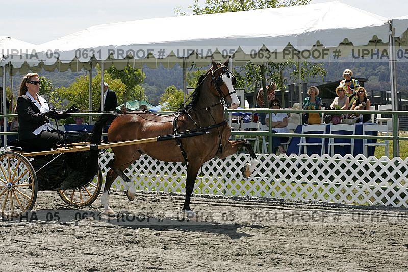 Proof Number upha_05__0631