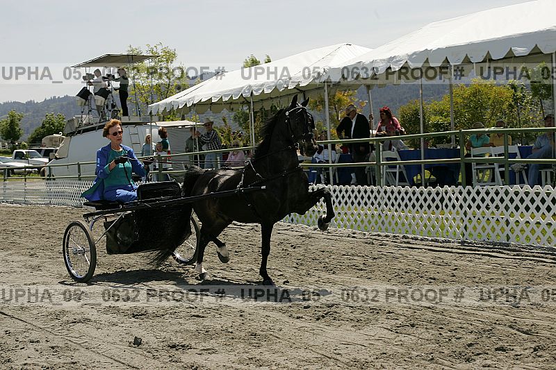 Proof Number upha_05__0632