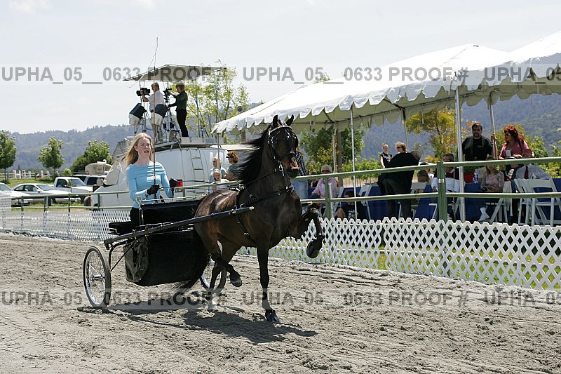 Proof Number upha_05__0633