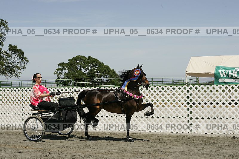 Proof Number upha_05__0634