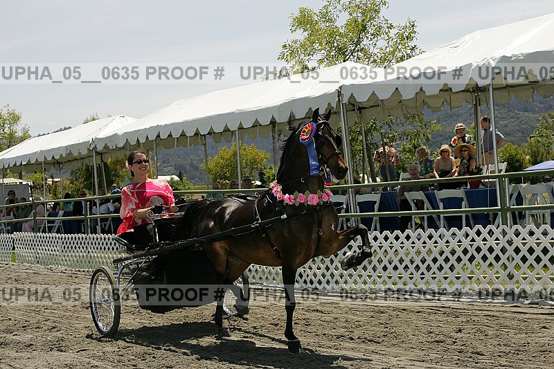 Proof Number upha_05__0635