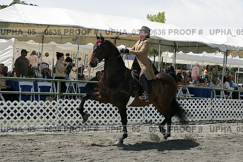 Proof Number upha_05__0636
