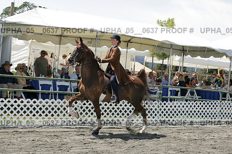 Proof Number upha_05__0637