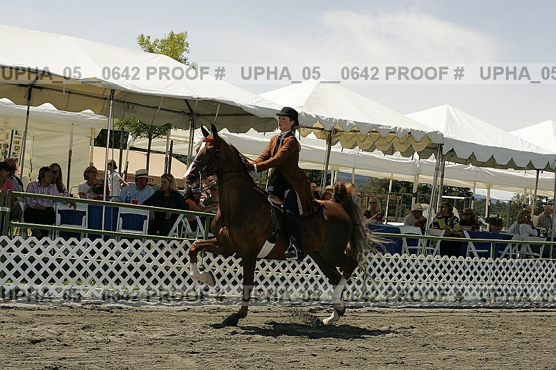 Proof Number upha_05__0642